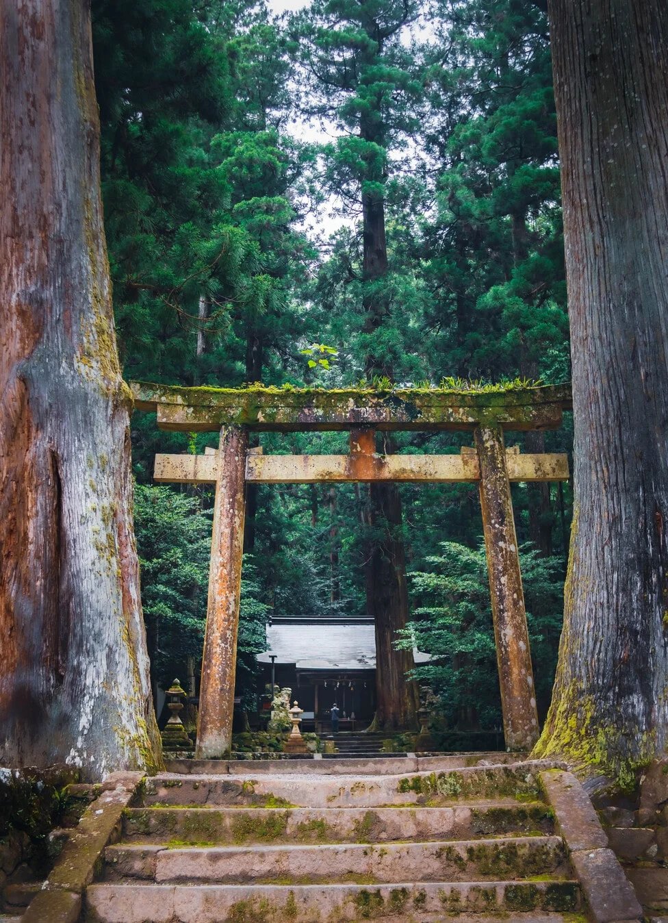 ⛩️ 무로 용혈 신사(무로 류케츠 진자) 이미지 8